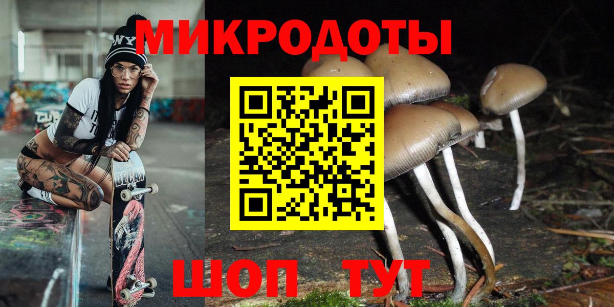 Псилоцибиновые грибы Magic Shrooms  купить закладку  Вход с VPN  Нерюнгри  Псилоцибиновые грибы GOLDEN TEACHER 